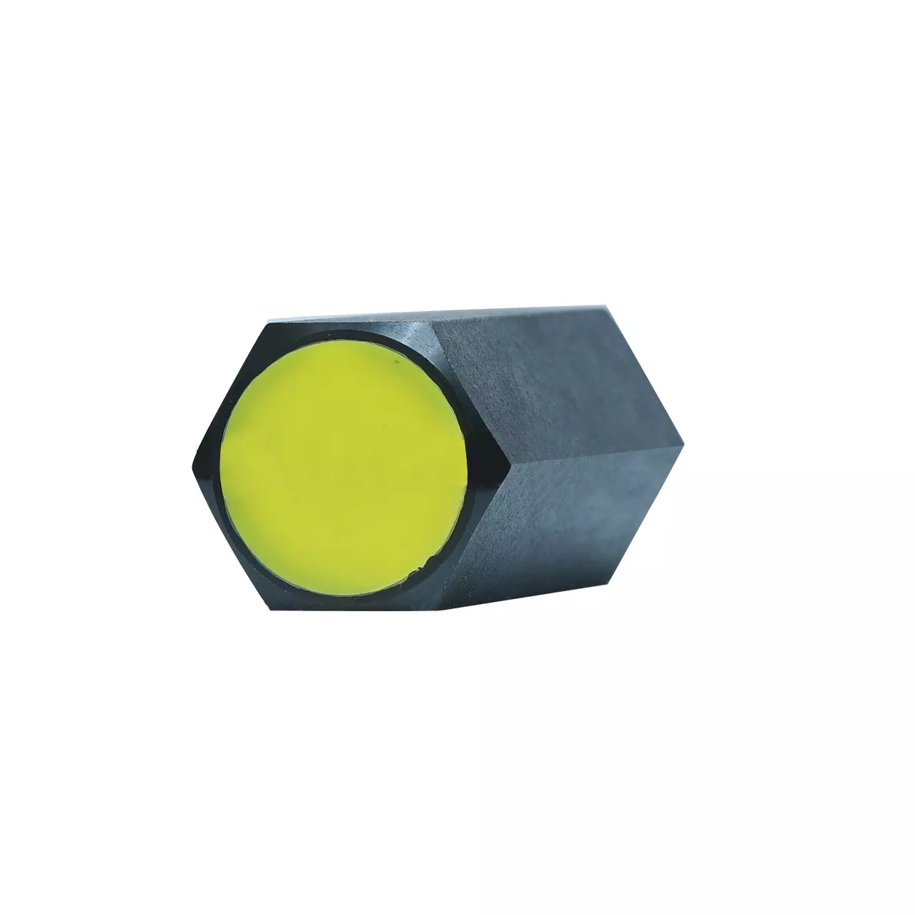 Type S Check Valve