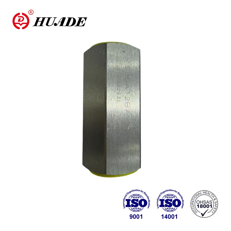 Galvanized Check Valve Type S